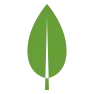 MongoDB