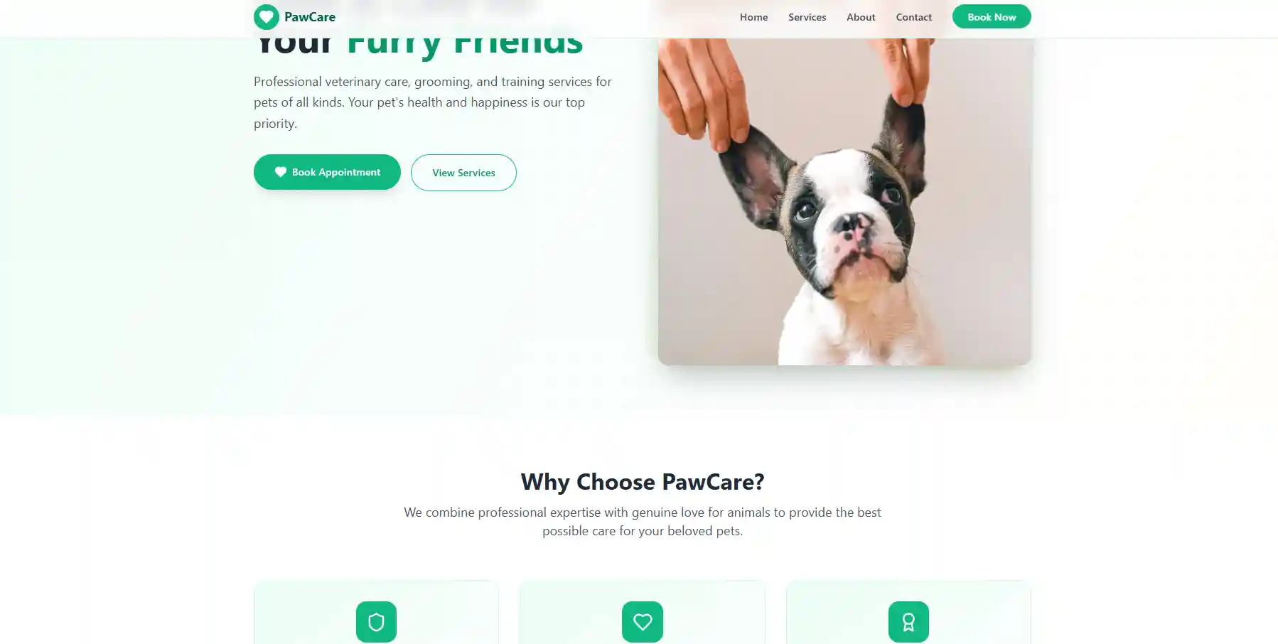 Professional veterinary care